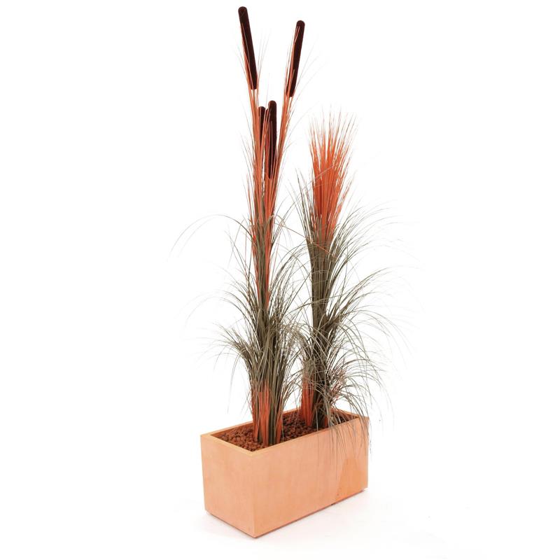 EUROPALMS Reed grass, light brown, 127cm