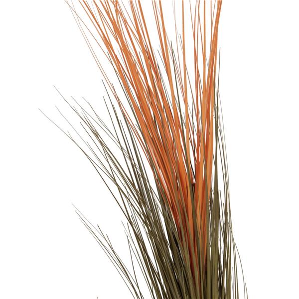 EUROPALMS Reed grass, light brown, 127cm