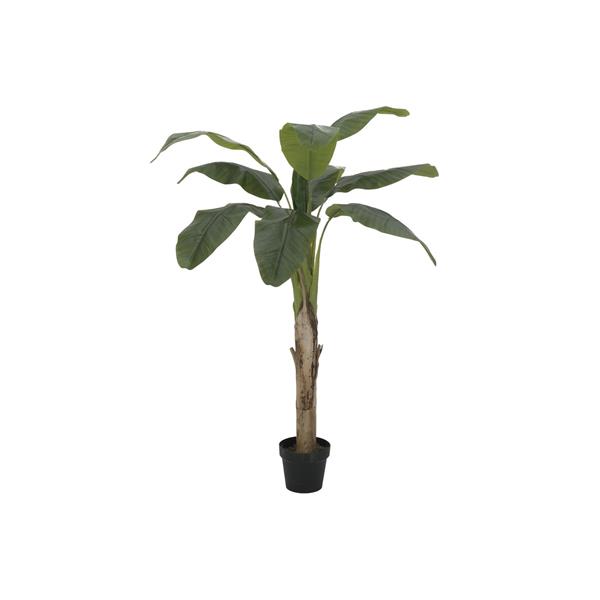 Bananovec 145cm EUROPALMS