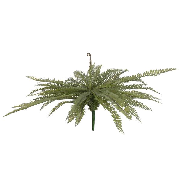 Boston praprot zelena 70cm EUROPALMS